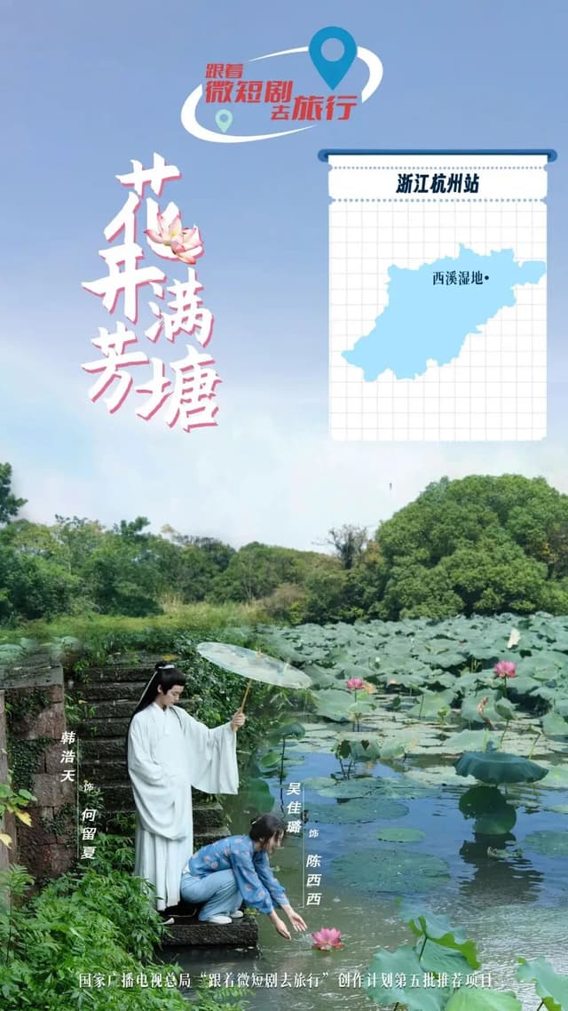 The Pond is Adorned with Blossoming Lotus