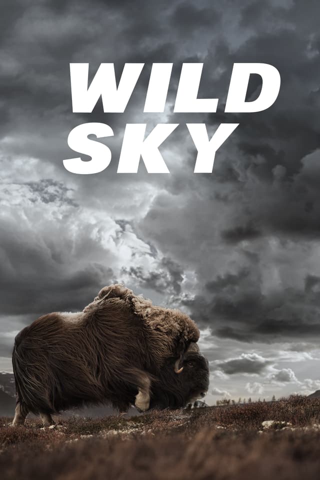Wild Sky