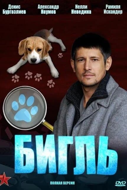 Бигль