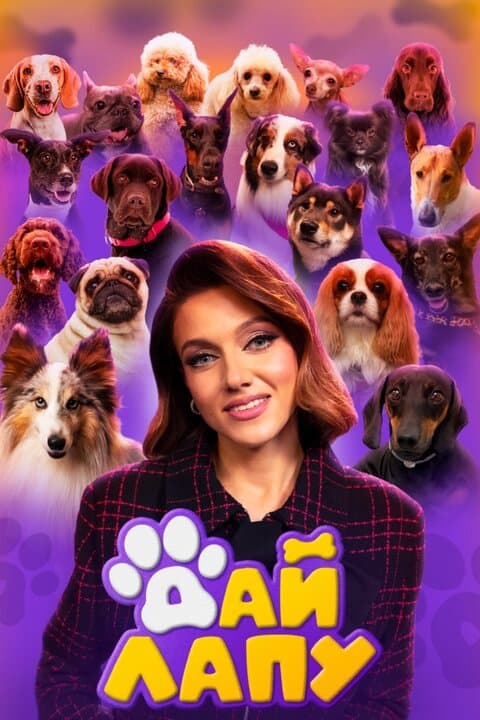 Дай лапу