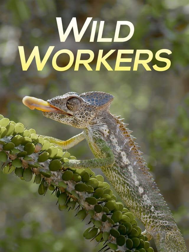 Wild Workers