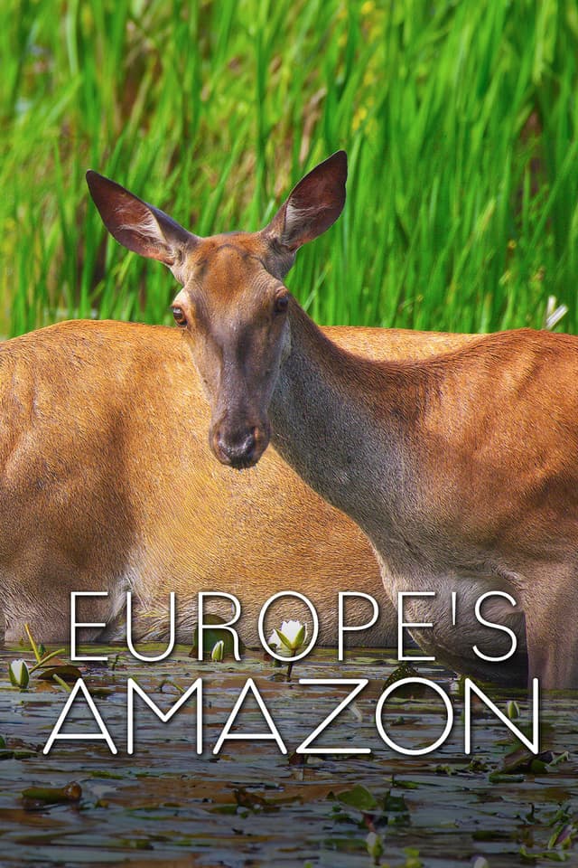 Europe's Amazon