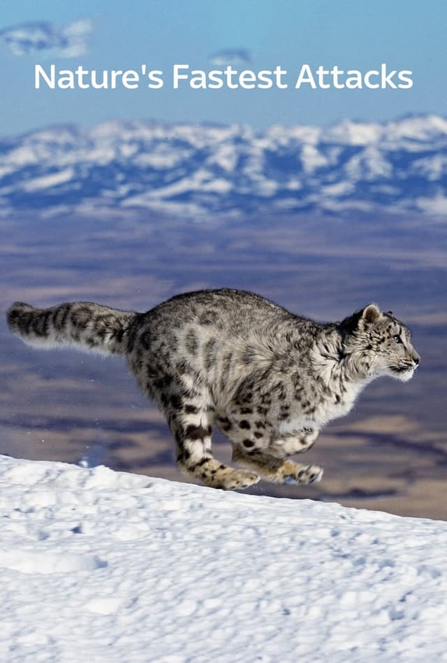 Nature's Fast Attacks