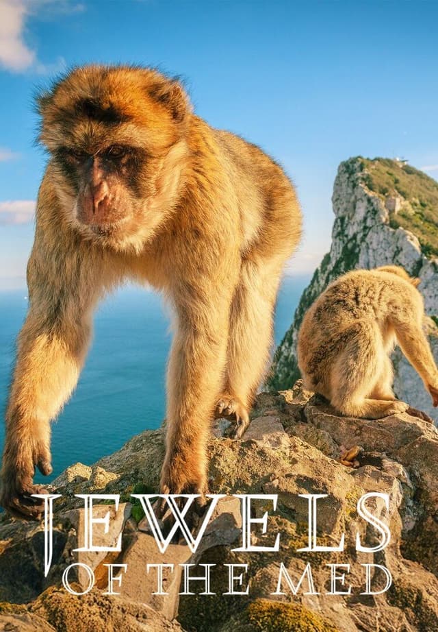 Jewels of the Mediterranean
