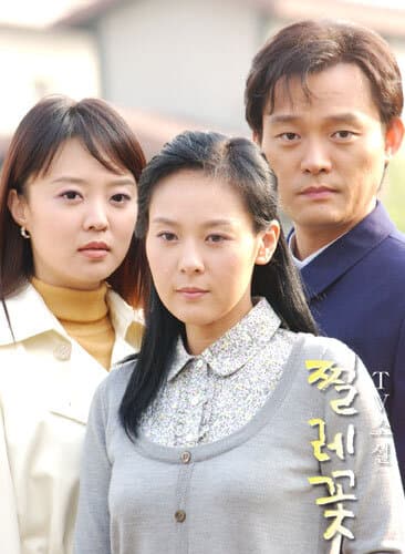 TV Novel: Briar Flower