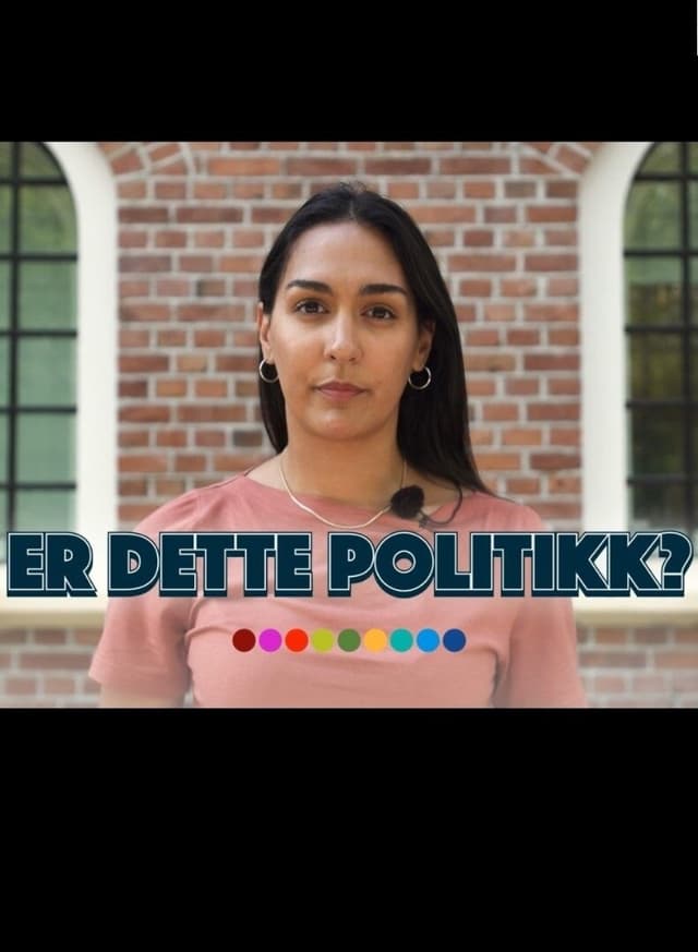 Er dette politikk?