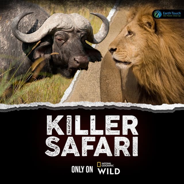 Killer Safari