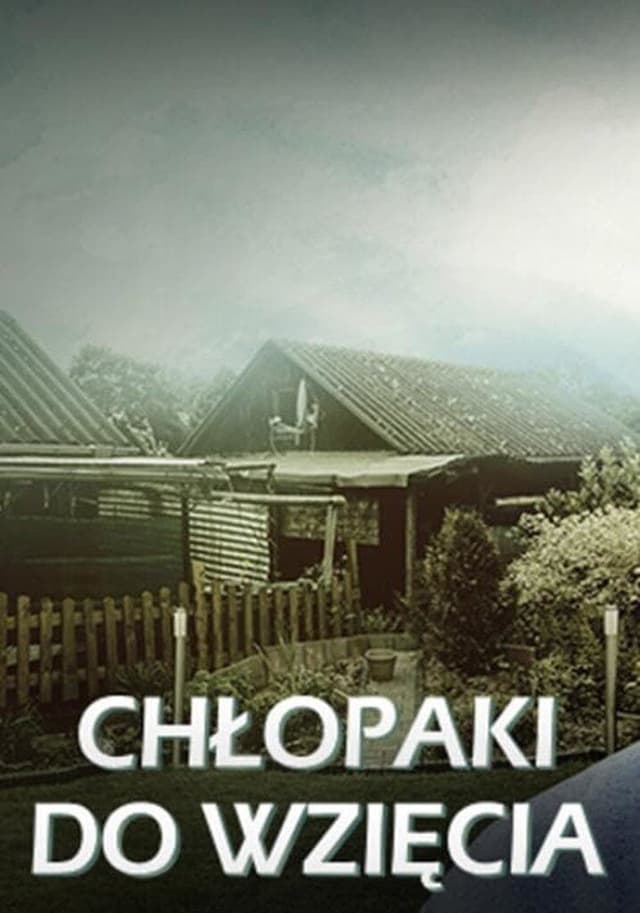 Chłopaki do wzięcia