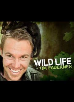 The Wild Life of Tim Faulkner