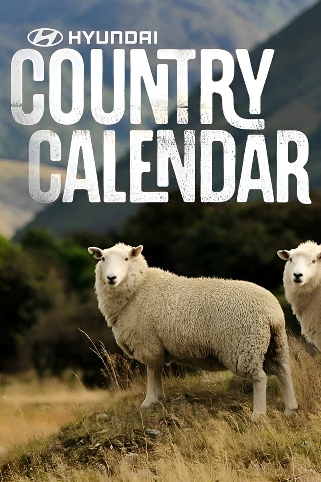 Hyundai Country Calendar