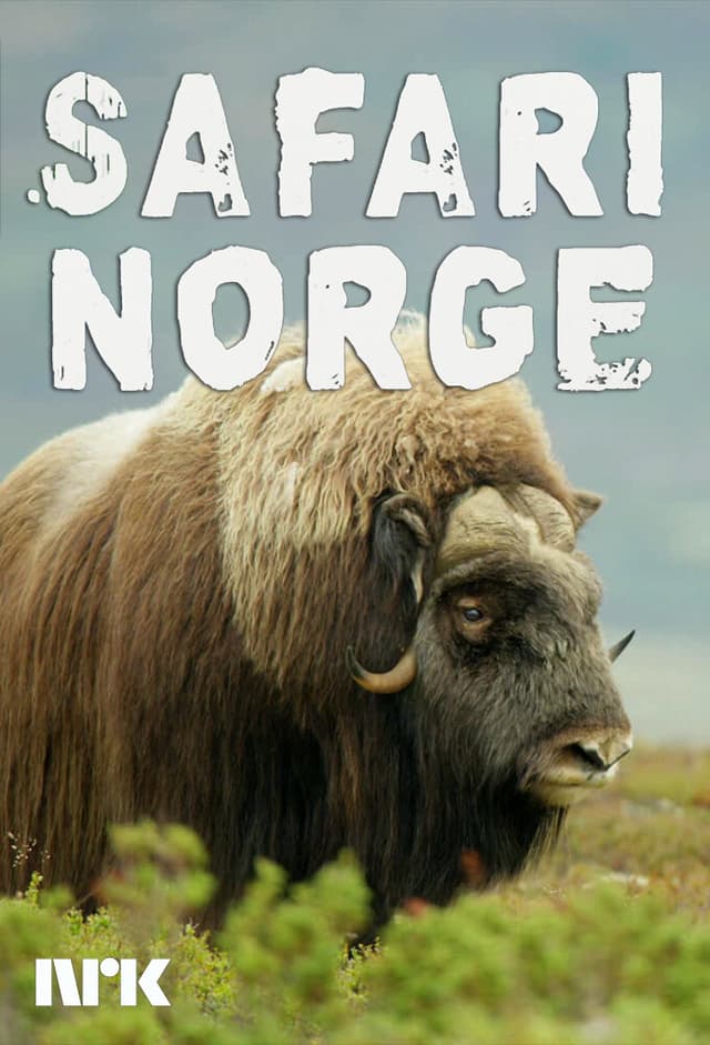 Safari Norge