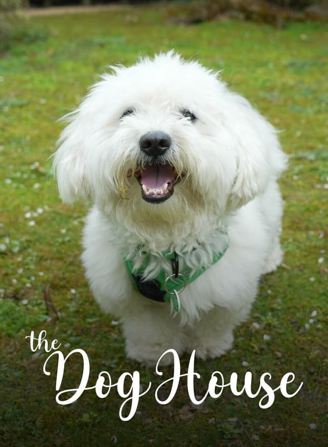 The Dog House