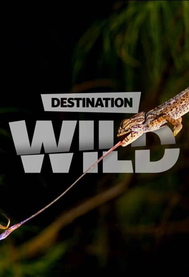 Destination Wild