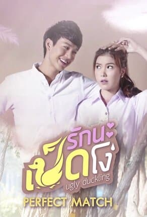 Ugly Duckling Series: Perfect Match