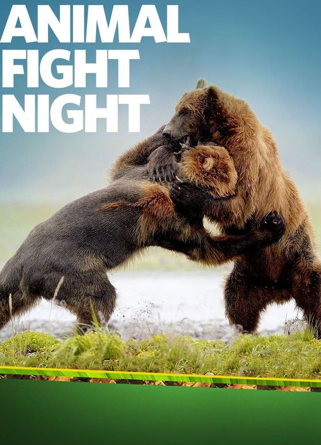 Animal Fight Night