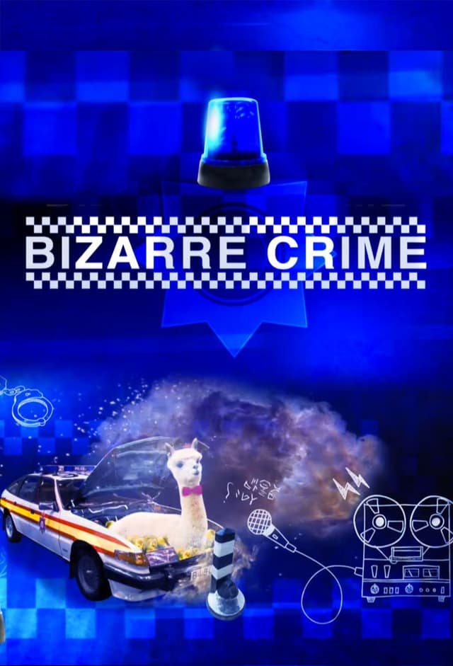 Bizarre Crime