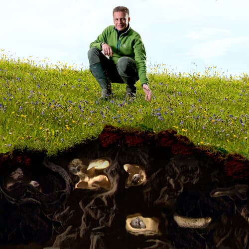 The Burrowers: Animals Underground