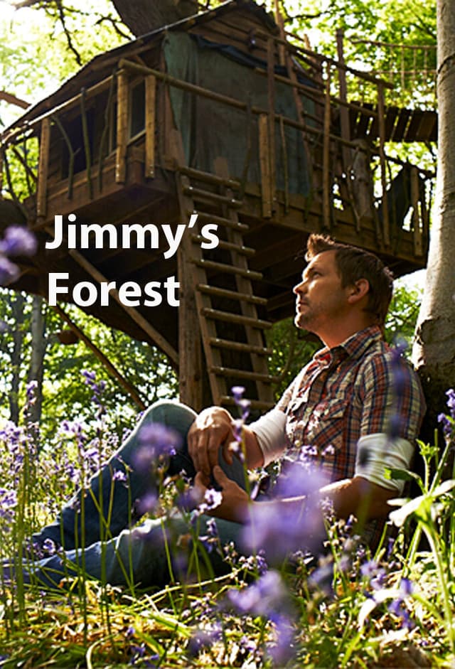 Jimmy's Forest