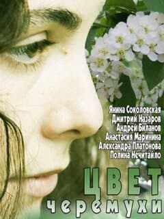 Цвет черёмухи