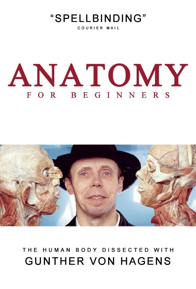 Anatomy for Beginners