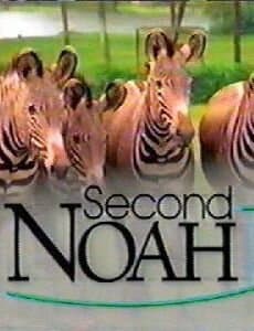 Second Noah