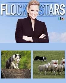 Flockstars
