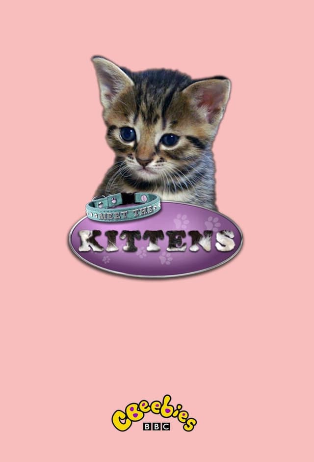 Meet the Kittens