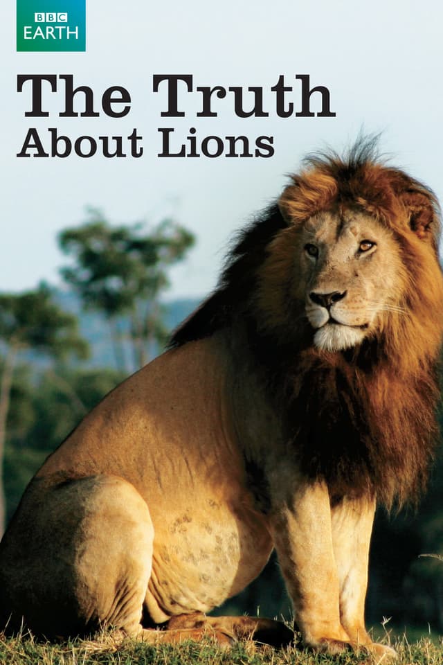The Truth About Lions