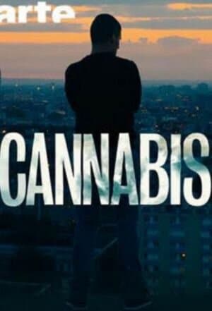 Cannabis