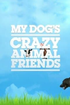 My Dog's Crazy Animal Friends