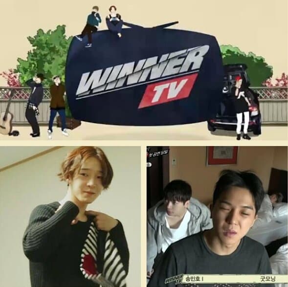 WINNER TV