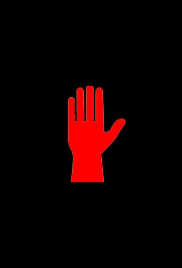 Bible Black New Testament