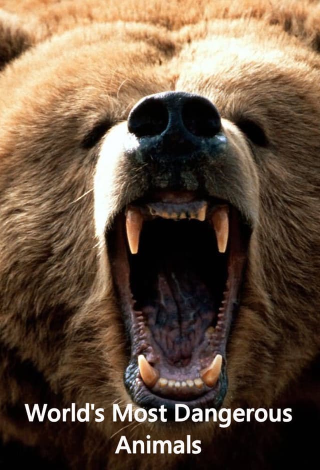 World's Most Dangerous Animals