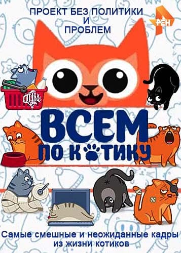 Всем по котику