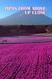 Japan from Above: Up Close