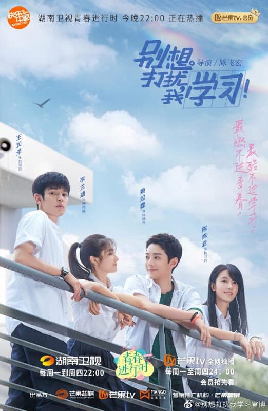 Don't Disturb My Study