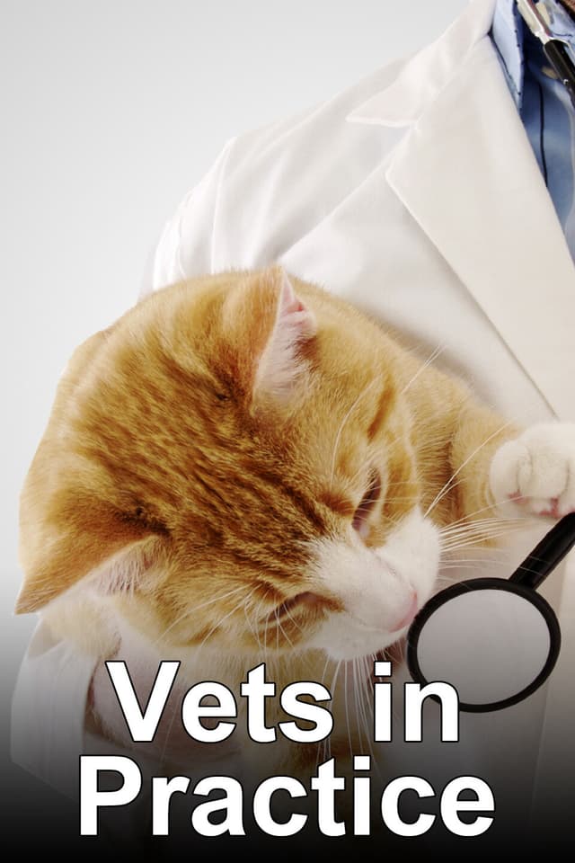 Vets in Practice