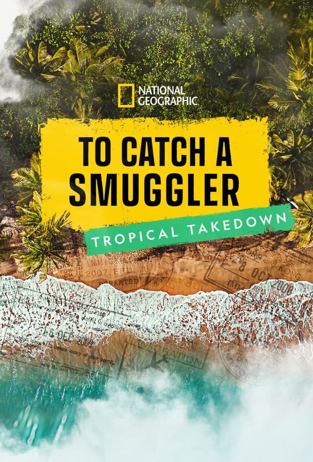 To Catch a Smuggler: Tropical Takedown